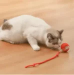 Interactive Cat Toys Ball Automatic Bouncing Ball - Image 3