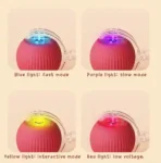 Interactive Cat Toys Ball Automatic Bouncing Ball - Image 4