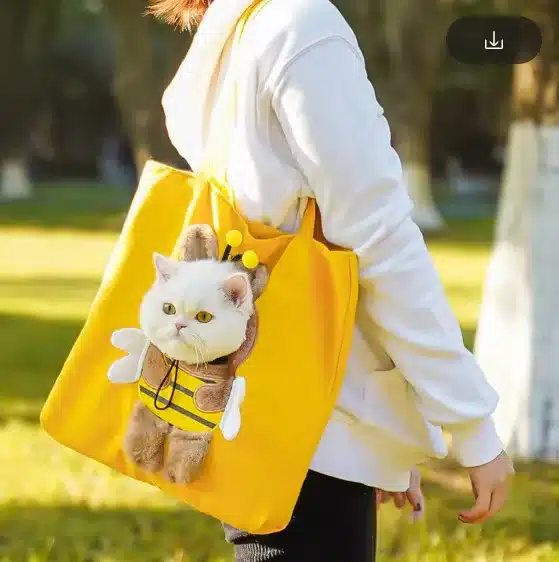 Portable Outdoor Carrying Bag for Cat dog